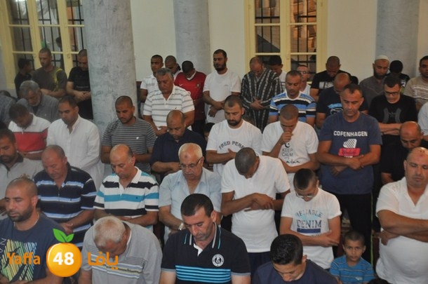 tarawe7 nozhas j (6).JPG